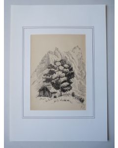 Dessin original a l'encre M. Werner 1897