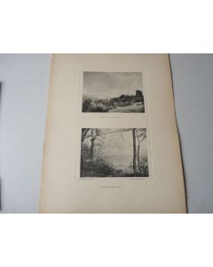 Photos Fred BOISSONNAS Plaine Aux Rocailles - Bois D'Allaman ( Vaud )