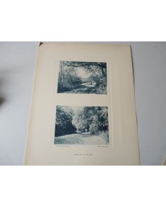 Photos Fred BOISSONNAS Bords De La Versoix