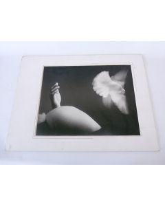 Photo d'Art  Amateur De Pithiviers  Dominique Tuilard 2000