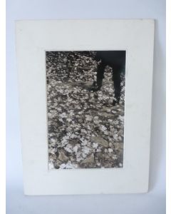 Photo d'Art  Pas d'Automne  Jose Vital Anselmo 2000