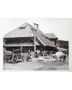Photo Fred BOISSONNAS 1896 Village Suisse Agriculture XI