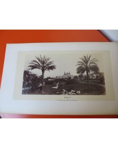 Photo Monaco - Le Casino pris entre les Palmiers