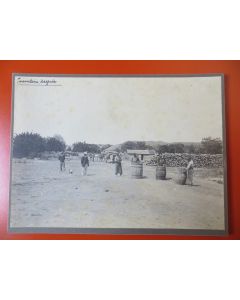 Photo Société Française d'Exploitations Forestières Oran Algérie 1913