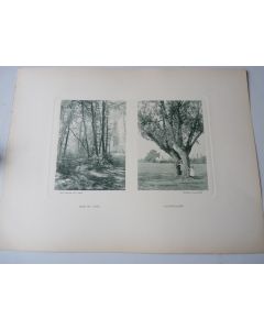 Photos Fred BOISSONNAS Bois Du Jonc - Cache-Cache