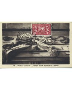 Carte-maximum France n° 244 - Lafayette