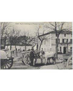 Carte postale France Dax Landes Type d'attelage et paysan Landais